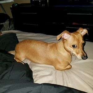 Meet your Posher, Lorena